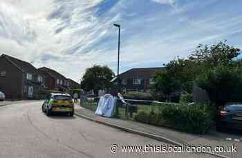 Teenage girl raped in Canada Road Erith playground