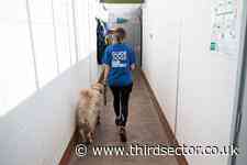 Net income at Guide Dogs fell by 92 per cent last year