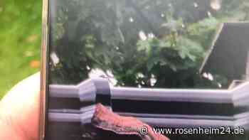 Frau verwechselt Bauschaum mit Riesenschlange