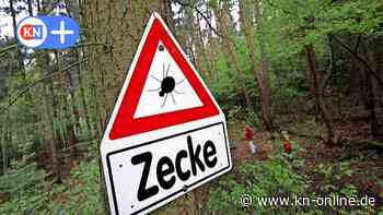 Zecken, Borreliose: Experten warnen vor Gefahr im Wald im Kreis Rendsburg-Eckernförde