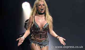 Britney Spears' net worth: How much could star lose in divorce