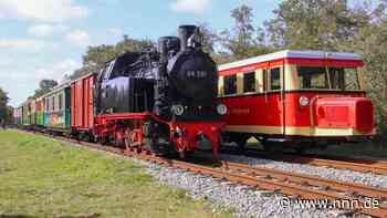 Borkumer Schweineschnäuzchen zu Besuch bei Molli in Bad Doberan
