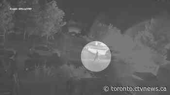 Suspect wanted in Richmond Hill vehicle arson allegedly set two more cars on fire