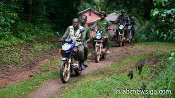 A Nigerian forest and its animals are under threat. Poachers have become rangers to protect both