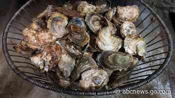 Two Connecticut deaths linked to bacteria found in raw shellfish