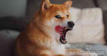 The Protocol: Blockchains Keep Launching, From Sei to Shibarium