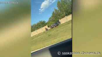 Driver injured after crashing into sound barrier wall: Saskatoon Police