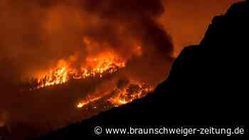 Feurwehr bekommt Waldbrand auf Teneriffa nicht in den Griff