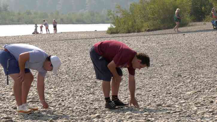 'Calgary is a really interesting place': Paleontologists look for 60-million-year-old fossils along the Bow River valley