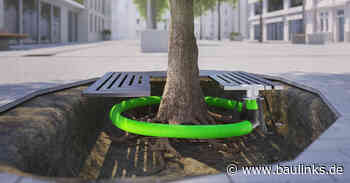 Gesunde Bäume, gesundes Stadtklima: Baumbelüftungs- und Bewässerungsset von Fränkische