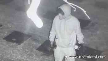 Vandal responsible for damaging DUI crash victims' gravesite arrested: Miami Police