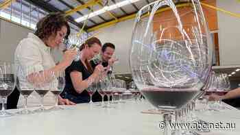 Australia's best wines named, overall winner declared 'shoulder to shoulder' with world's finest