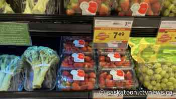 Soaring prices drive surge in Saskatoon food bank use, community kitchen need