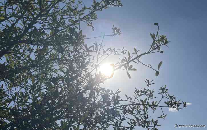 Thursday was the third-hottest day ever recorded in Austin