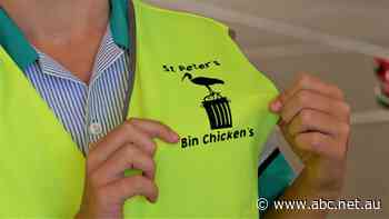 How 'bin chickens' help a school with 352 students keep waste down to just one red bin a week