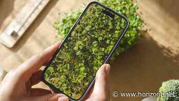 KPI des Monats: ROI: Die Parallelen zwischen Gartenarbeit und dem Social Media ROI