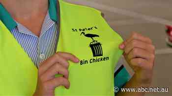 How 'bin chickens' help a school with 352 students keep waste down to just one red bin a week
