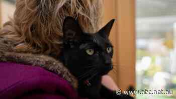 Annabelle is uni-educated, stylish and from a corporate background. She's also homeless