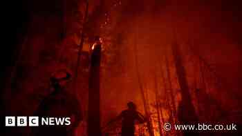Footage shows wildfire threatening Canadian city