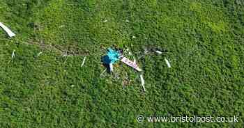 Glider 'obliterated' as two collide in mid-air before crashing to ground