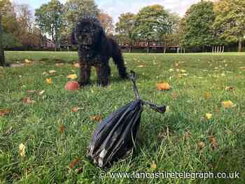 Pendle: End of litter enforcement that 'made life hell for people'