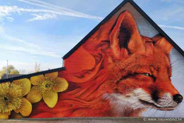 Gemeente zoekt gevels voor nieuw street art project