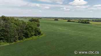 Ontario First Nations leaders call for housing minister, chief of staff to resign over Greenbelt controversy