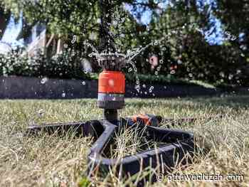 Pellerin: Western Canada's droughts should remind us that lawns, and the need to water them, are stupid