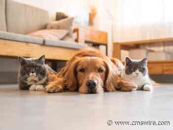 Talking Best of Breed vs. Suite Marketing Technology Tools — Again