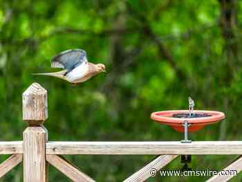 Still Use TweetDeck for Marketing? Time to Pay Up