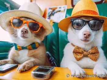 Cultural Intelligence and CX: Lessons for Better CX From Around the World