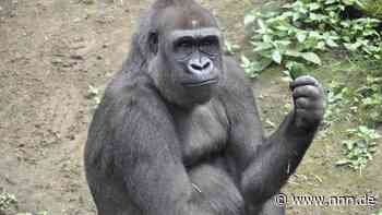 17 Tierparks in MV locken Kids mit Sonderangeboten und freiem Eintritt