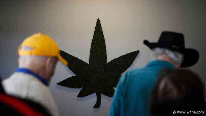 Senior citizens are the fastest-growing cannabis clientele