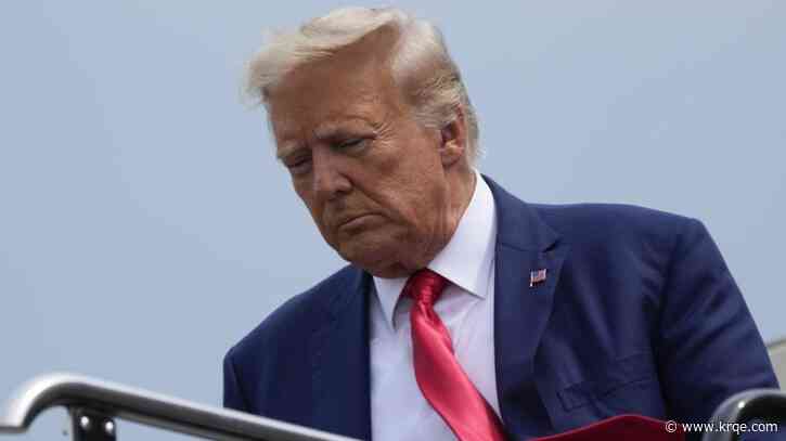 Trump calls off planned 'news conference' to push election fraud claims