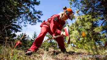 Ottawa could do more to equip volunteer crews to fight wildfires: firefighter association president