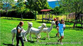 Kinderschutzbund Nagold: Krönender Abschluss bei den „Mohawks“