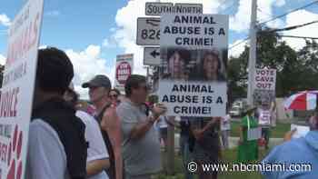 Critics concerned over animals' living conditions as South Florida shelters overwhelmed