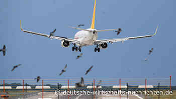 Airlines: Massive Dekarbonisierungskosten für Passagiere