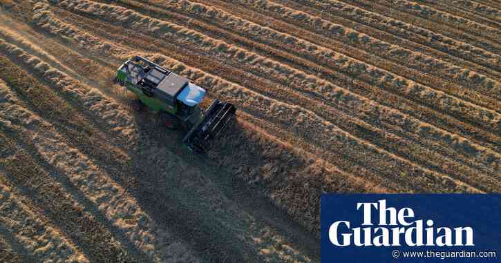 Inflation spiral: food prices could yet rise higher and may never come down