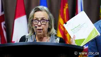 Green Party co-leader frustrated by lack of detail in foreign-interference documents