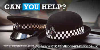 Appeal after vehicles damaged in Kingswood