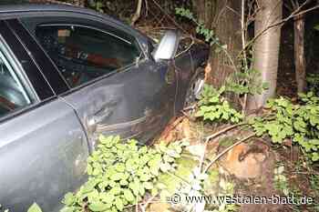 Autofahrer unter Alkohol und Drogen im Kreis Höxter unterwegs