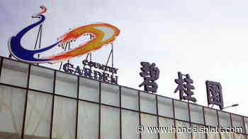 Immobilienriese: Chinesischer Projektentwickler Country Garden fliegt nach Turbulenzen aus Hang Seng Index