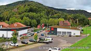 Satzung in Bad Herrenalb: Bald ein Gerüst für künftige Bürgeranliegen