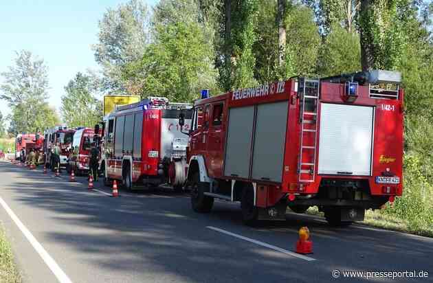 FW Reichenau: Flächenbrand im Wollmatinger Ried Schnelles Eingreifen der Feuerwehr verhindert Schlimmeres Reichenau, L221, Wollmatinger Ried, 18.08.2023