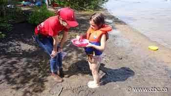 How summer camps are helping support kids' mental health