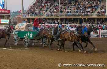 Halkirk chuckwagon driver wins Rangeland Derby