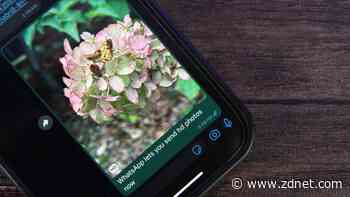 WhatsApp users rejoice: HD photo sharing is finally here