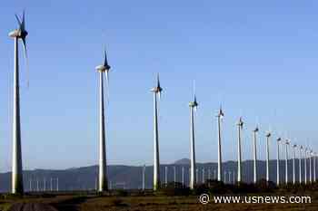 Brazil Govt Pushes Congress to Approve 'Green' Bills Before COP28