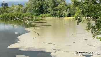 After 6-alarm Etobicoke fire, crews assessing how much runoff in Lake Ontario: ministry